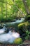 Powerful wild stream in forest