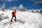 Powerful woman struggling to hike towards a snowy mountain ridge, through isolated fir trees covered in snow