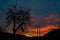 powerline infront of orange sunset with clouds