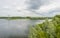 Powerline over the shore of a lake in spring