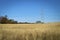 Powerlines Over Field