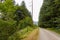 powerlines over forest by gravel walking trail