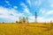 Powerlines over the meadow