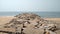 Pozhikkara beach, Kollam district, Kerala, seascape view