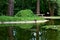 Poznan. Trees, turtle, duck reflected in water, water lilies