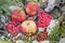 Pples and Viburnum in the snow. Red Apples and Viburnum in the snow and grass close up