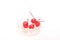 Ppreserving in syrup cherries in a glass bowl isolated on a white background