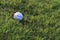 Practice Golf Ball in the Grass