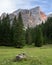 Prags valley, South Tirol, Italy, Europe