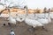 PRAGUE, CZECH - MARCH 14, 2016: People Are Feeding Swan and Dove on Vltana River Coast in Prague, Czech. Charles Karlov Bridge in