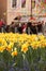 PRAGUE, CZECH REPUBLIC - APRIL 15, 2017: Daffodils at the Old Town Square on Easter