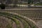 Prague, Czech Republic - March 26, 2021 - Grebovka park- The vineyard with a romantic gazebo lies on a steep slope