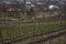 Prague, Czech Republic - March 26, 2021 - Grebovka park- The vineyard with a romantic gazebo lies on a steep slope