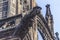 Prague Saint Vitus Cathedral Gargoyle Statues