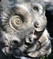 Prague Zoo - ancient ammonite fossils
