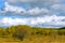 The prairie autumn scenery