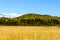 The prairie autumn scenery