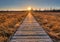 Prairie Boardwalk Sunset