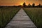 Prairie Boardwalk Sunset