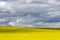 Prairie Canola Field Canada