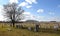 Prairie cemetery