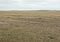 Prairie Dog in Badland National Park South Dakota