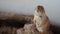 Prairie dog or Cynomys, stands closeup