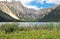 Prairie full of flowers ,High Mountain and Lake Cuopu