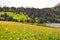 Prairie full of flowers ,High Mountain and Lake Cuopu