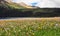 Prairie full of flowers ,High Mountain and Lake Cuopu