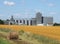 Prairie grain elevator and bin complex