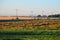 Prairie grain fields, Edmonton, Alberta, Canada