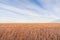 Prairie Grassland