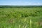 Prairie grassland view from the Seppmann Mill in Minneopa State Park - Mankato Minnesota