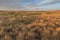 Prairie Grasslands in the Evening Light