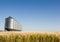 Prairie Harvest