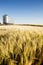 Prairie Harvest