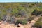 prairie at hawks head - kalbarri - western australia