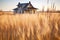 a prairie house with a wispy prairie grass landscape