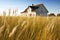 a prairie house with a wispy prairie grass landscape