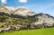 Prairie Houses in the French Alps