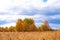 Prairie landscape with fall meadows and blue sky. Wild autumn field of tall grass