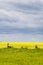 Prairie Landscape - Fence Line