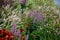 Prairie perennial flowerbed with a different set of flowers of a flowerbed of a larger plant just flowering