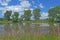 Prairie Pond on a Summer Day