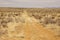 A prairie road in New Mexico