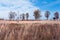 Prairie and Savanna Autumn Landscape