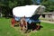 Prairie Schooner Wagon