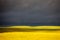 Prairie Storm Clouds