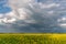 Prairie storms sweep over canola fields